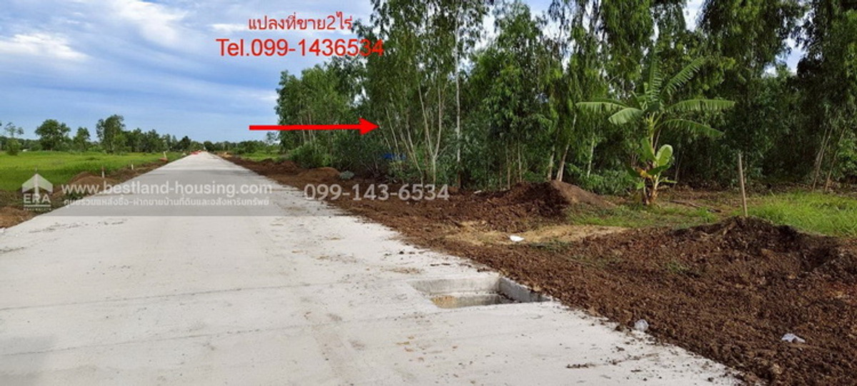 ขายที่ดินปทุมธานี รังสิต ธรรมศาสตร์ : ขายที่ดิน ซอยคลองสี่ 19/1 เนื้อที่ 2 ไร่ ถมแล้ว ขาย 6ล้าน ถนนเลียบคลองสี่ ฝั่งตะวันตก ใกล้ถนนกาญจนาภิเษก วงแหวนรอบนอกฝั่งตะวันออก คลองหลวง ปทุมธานี 12120