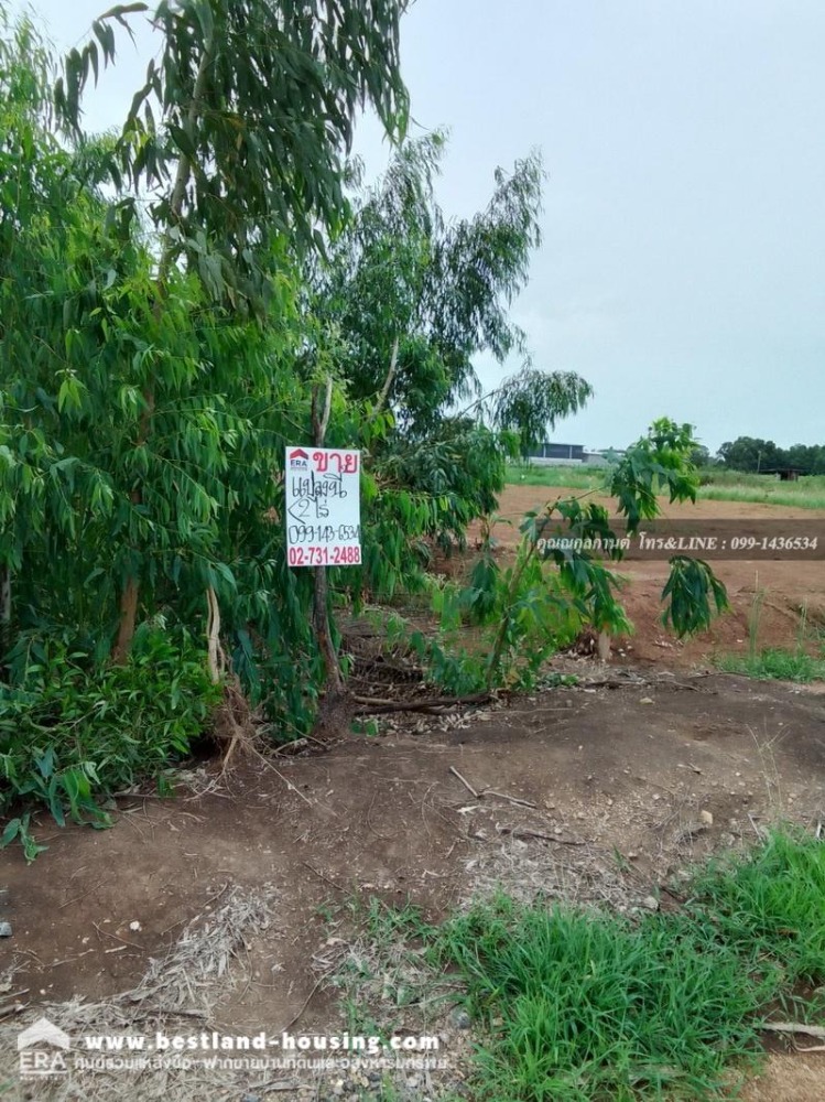 For SaleLandPathum Thani,Rangsit, Thammasat : Very beautiful land for sale, 2 rai, already filled, Soi Khlong Si 19/1, Liap Khlong Si Road, west side, Khlong Luang, Pathum Thani 12120