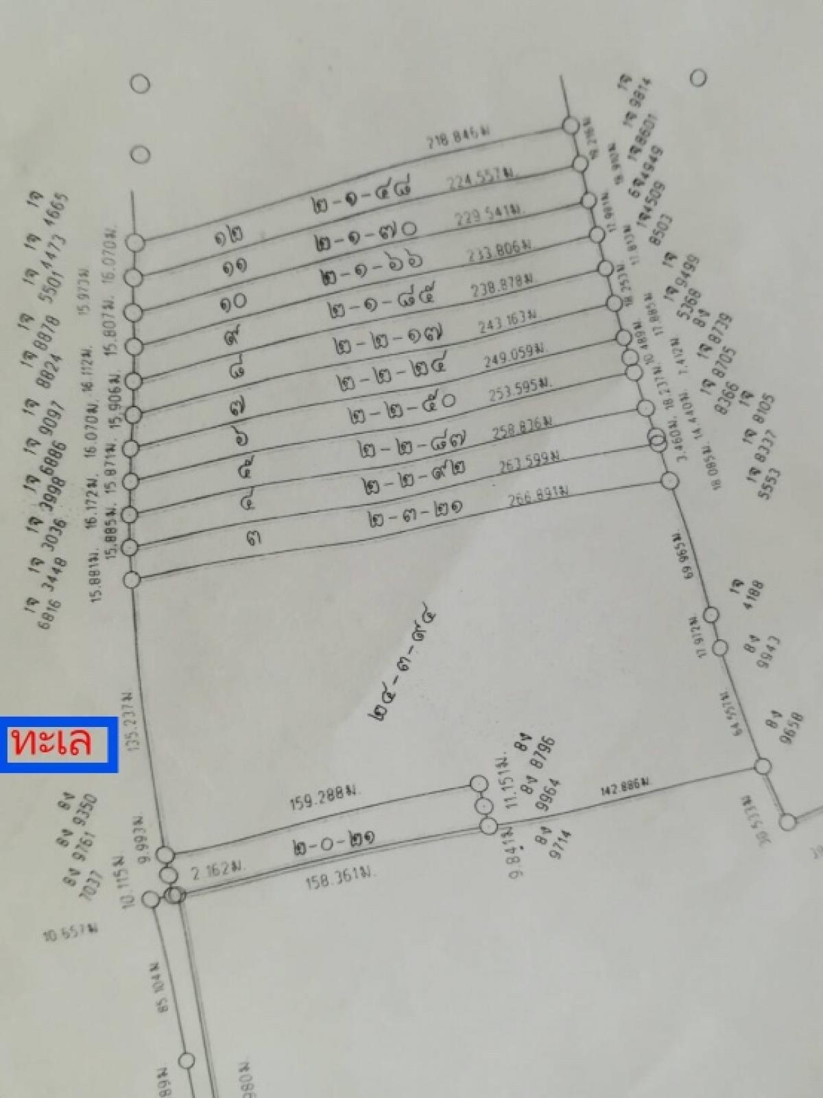 ขายที่ดินพังงา : ขายที่ดินปิด ไม่ให้คนนอกเข้ามาตลอด มีทะเลสาบบึงน้ำจืด ริมทะเลชายหาดส่วนตัว อ.ตะกั่วป่า จ.พังงา ห่างจากเขาหลักเพียง 20 กว่ากม.