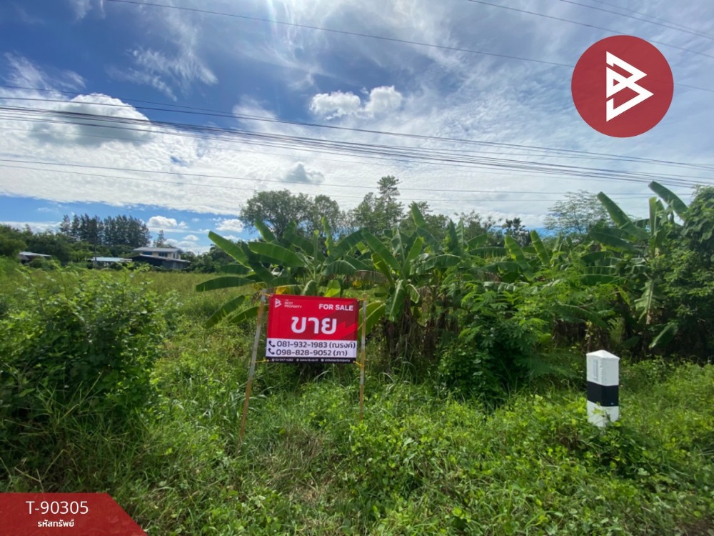 ขายที่ดินลพบุรี : ขายที่ดิน เนื้อที่ 1 ไร่ 98 ตารางวา หนองม่วง ลพบุรี