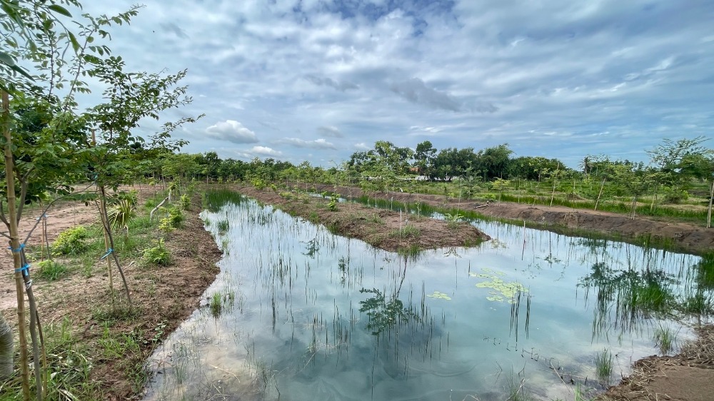 For SaleLandPathum Thani,Rangsit, Thammasat : Land for sale, Nong Suea, Khlong 10, 3 rai, next to public road, Soi Thetsaban 6, Road No. 3261, Pathum Thani.