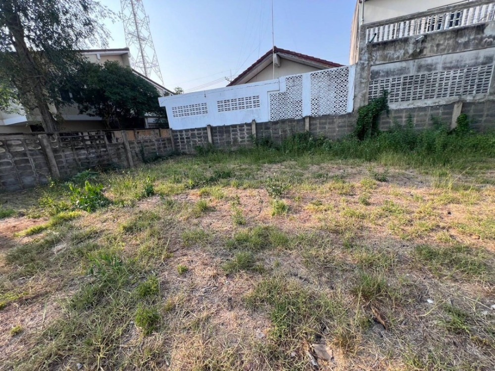 ขายที่ดินสระบุรี : ขายที่ดินเปล่า แปลงสวย อำเภอหนองแค สระบุรี  รหัส L8015