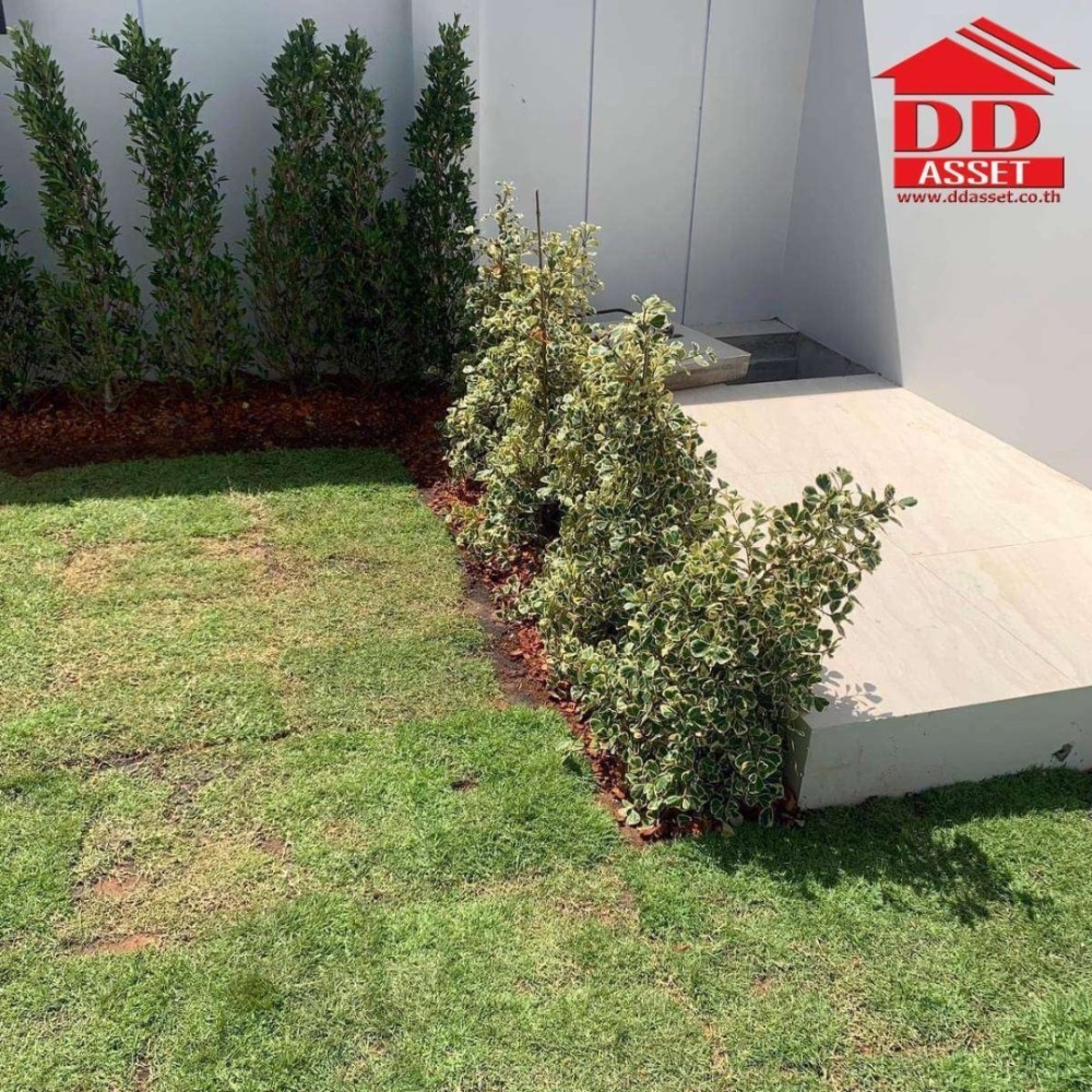 ขายบ้านหัวหิน ประจวบคีรีขันธ์ : Thipurai Luxury pool villa Huahin พูลวิลล่า ทิพย์อุไร ลักชูรี่วิลล่า หัวหิน ประจวบคีรีขันธ์