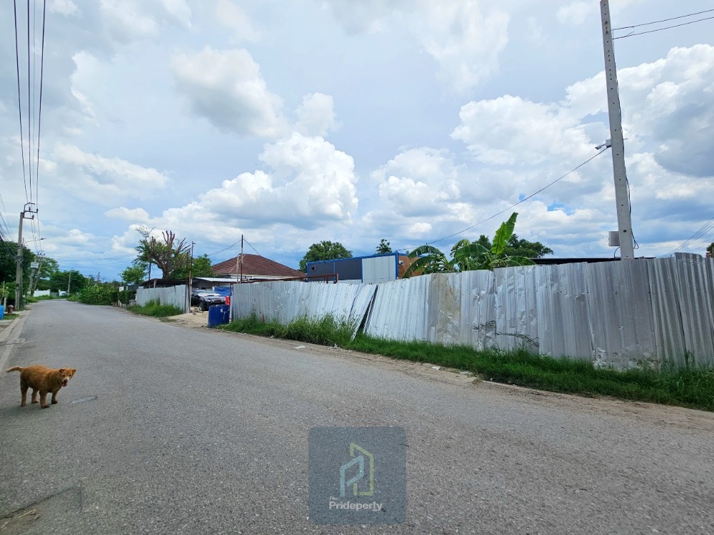 ขายที่ดินนวมินทร์ รามอินทรา : ขาย ที่ดินเปล่า ถมแล้ว แปลงมุม ขนาด 1 ไร่ 98 ตรว. สุขาภิบาล 5 ซอย 32 แยก 3