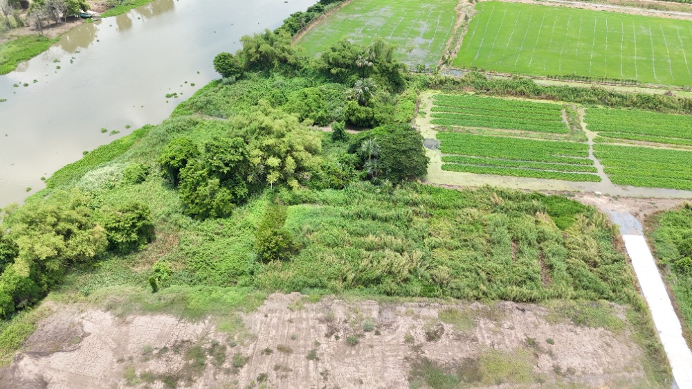 ขายที่ดินนครปฐม : ขาย-ให้เช่า ที่ริมแม่น้ำท่าจีน ใกล้ตลาดน้ำลำพญา