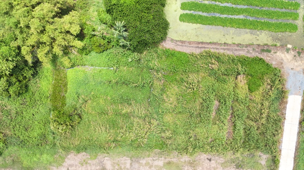 ขายที่ดินนครปฐม : ขาย-ให้เช่า ที่ริมแม่น้ำท่าจีน ใกล้ตลาดน้ำลำพญา