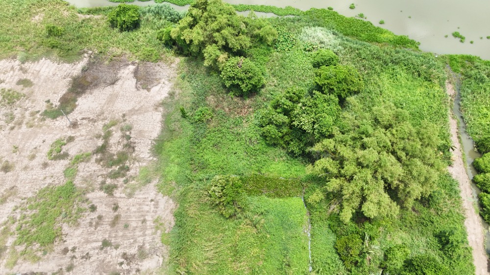 ขายที่ดินนครปฐม : ขาย-ให้เช่า ที่ริมแม่น้ำท่าจีน ใกล้ตลาดน้ำลำพญา