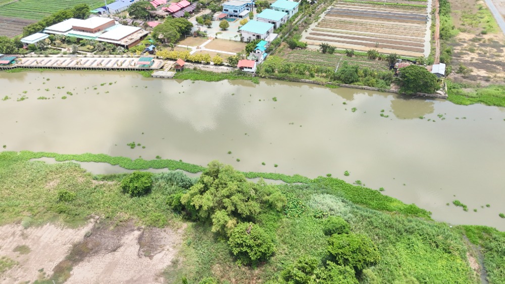 ขายที่ดินนครปฐม : ขาย-ให้เช่า ที่ริมแม่น้ำท่าจีน ใกล้ตลาดน้ำลำพญา