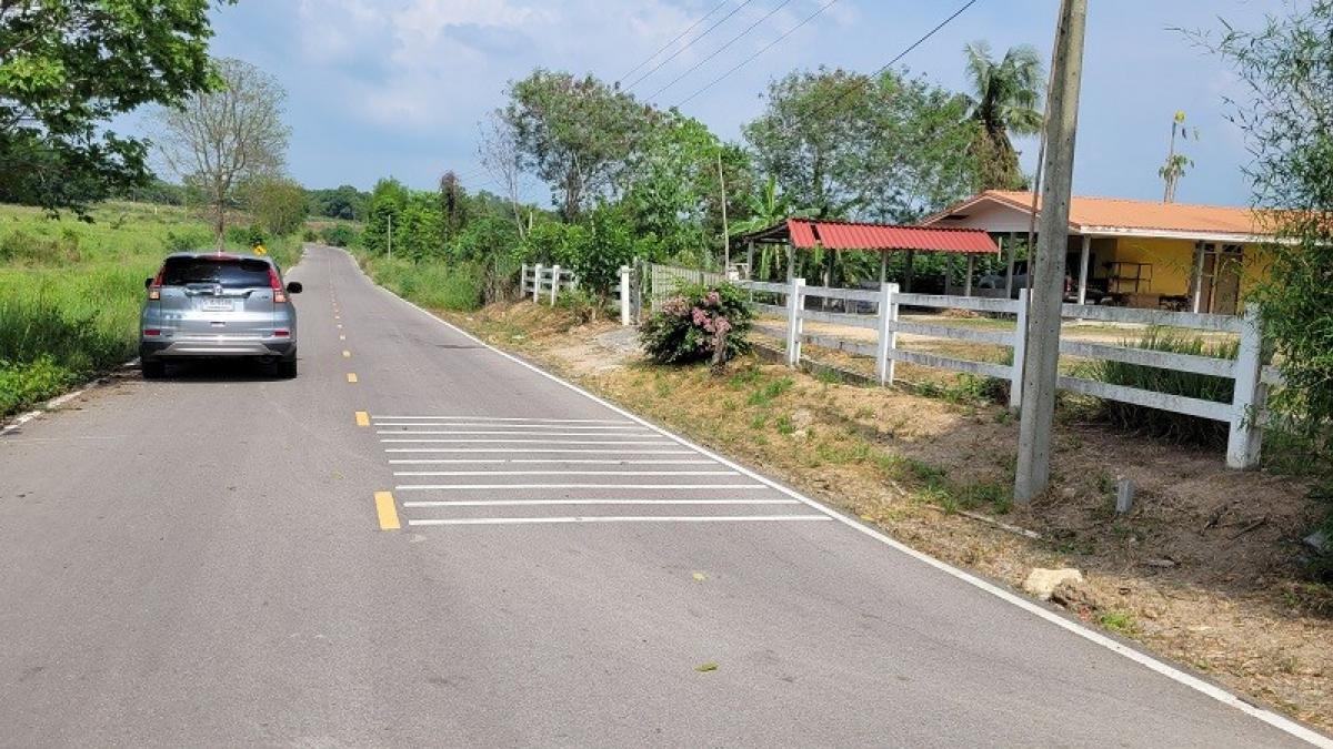 For SaleLandRatchaburi : 16-Rai Land for Sale with 2 Houses – Near Community & Paved Road, Nong Phan Chan, Ban Kha, Ratchaburi