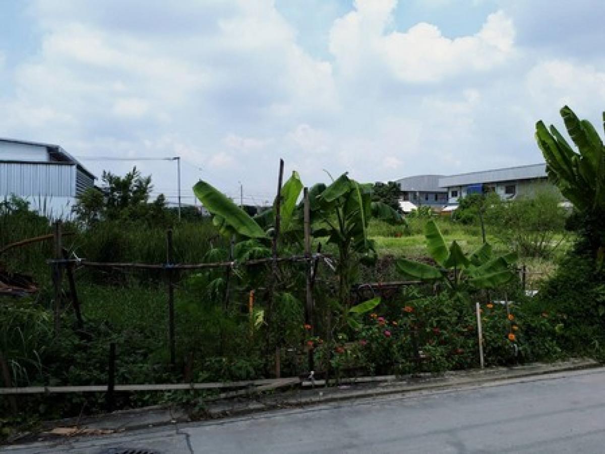 ขายที่ดินสมุทรปราการ สำโรง : ด่วนๆๆขายต่ำกว่าราคาประเมิน ด่วน!!! ขายที่ดิน ถูกมาก. ถูกกว่าราคาตลาด. ซ.ศรีด่าน 3/4  แถวแบริ่ง ศรีนครินทร์ 392 ตร.เมตร