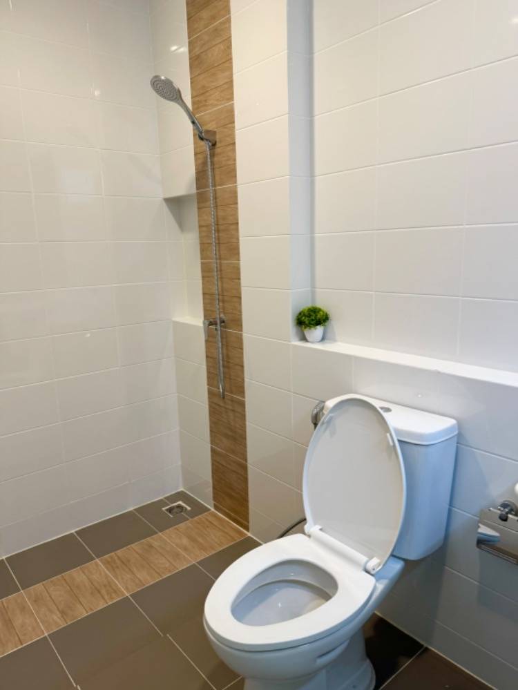 ให้เช่าทาวน์โฮมบางนา แบริ่ง ลาซาล : ให้เช่าทาวน์โฮม พลีโน่ สุขุมวิท - บางนา 2 ใกล้ เมกาบางนา เพียง 6 นาที