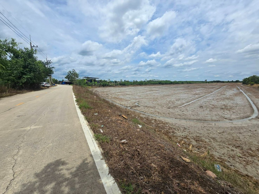 For SaleLandPathum Thani,Rangsit, Thammasat : Land for sale in Mueang Pathum Thani District, 26 rai, 3 ngan, 16 sq m.