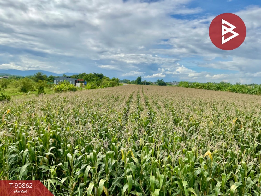 For SaleLandChiang Rai : Land for sale, area 3 rai 2 ngan 51 square wa, Wiang Chai, Chiang Rai