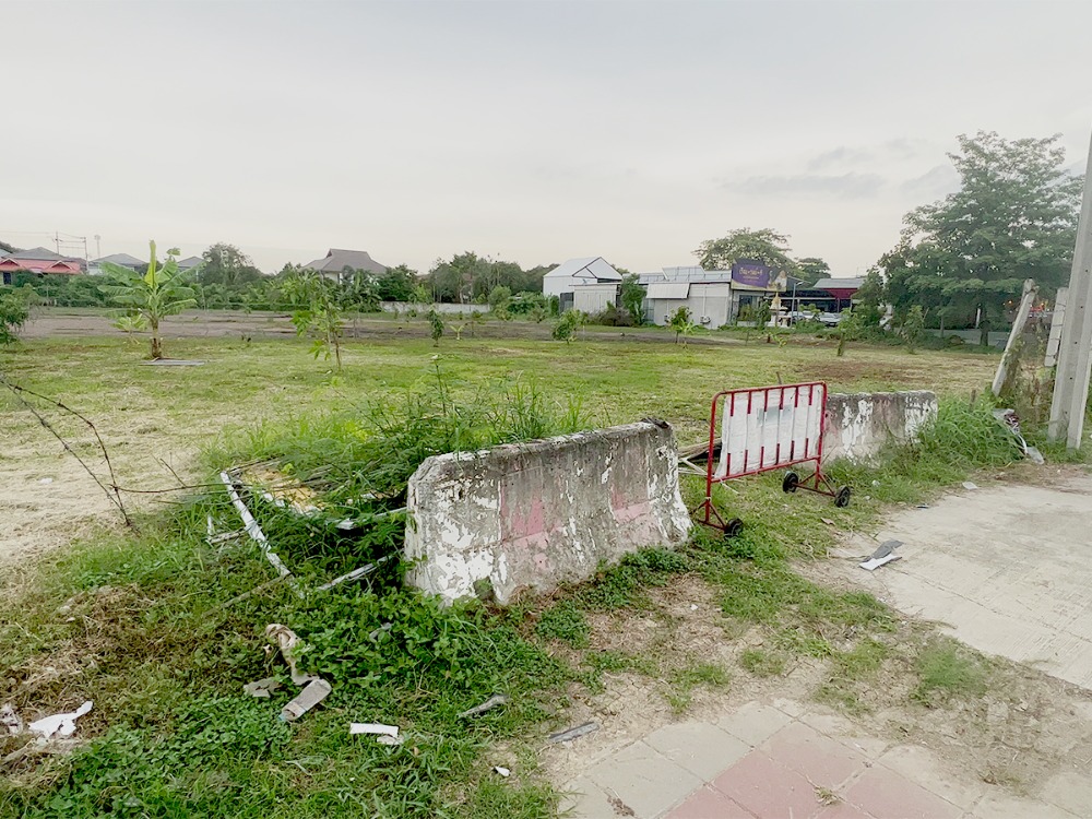 ขายที่ดินนนทบุรี บางใหญ่ บางบัวทอง : ขายที่ดินแปลงสวย ทำเลทอง!! 2-3-73 ไร่ ติดริมถนนเลี่ยงเมืองนนทบุรี1