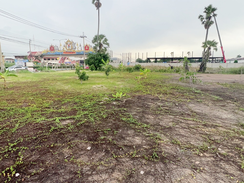 ขายที่ดินนนทบุรี บางใหญ่ บางบัวทอง : ขายที่ดินแปลงสวย ทำเลทอง!! 2-3-73 ไร่ ติดริมถนนเลี่ยงเมืองนนทบุรี1