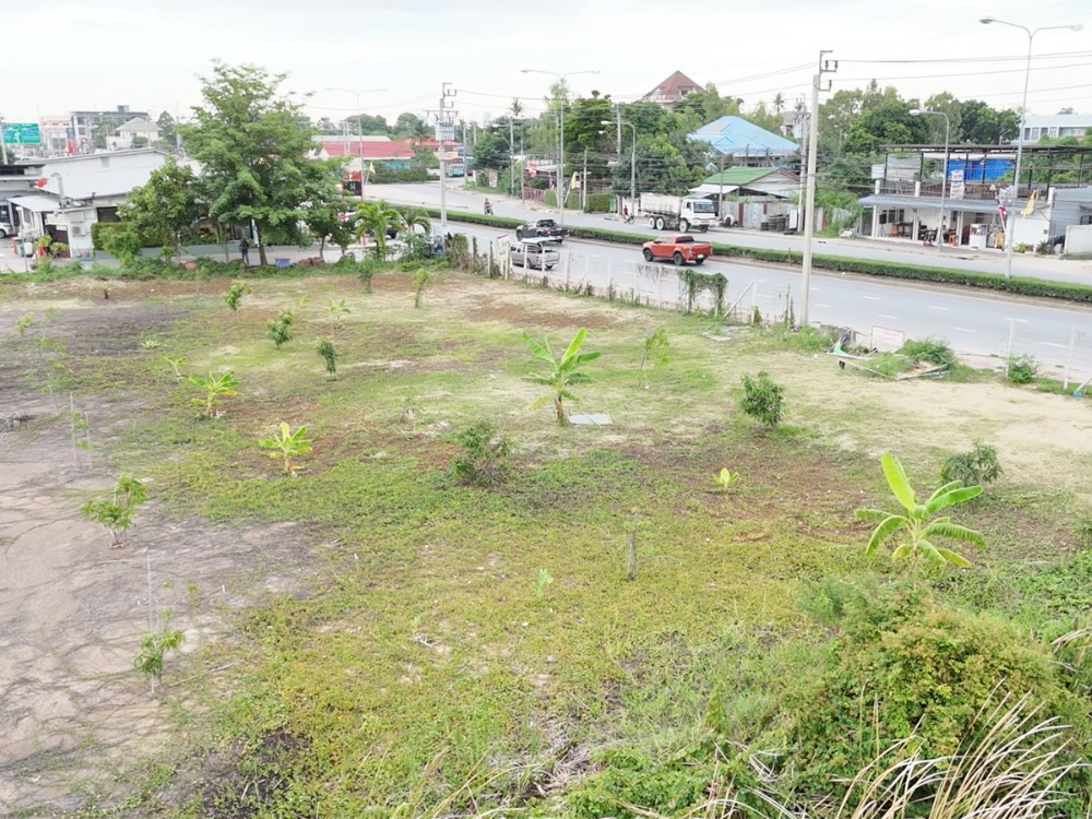 ขายที่ดินนนทบุรี บางใหญ่ บางบัวทอง : ขายที่ดินแปลงสวย ทำเลทอง!! 2-3-73 ไร่ ติดริมถนนเลี่ยงเมืองนนทบุรี1