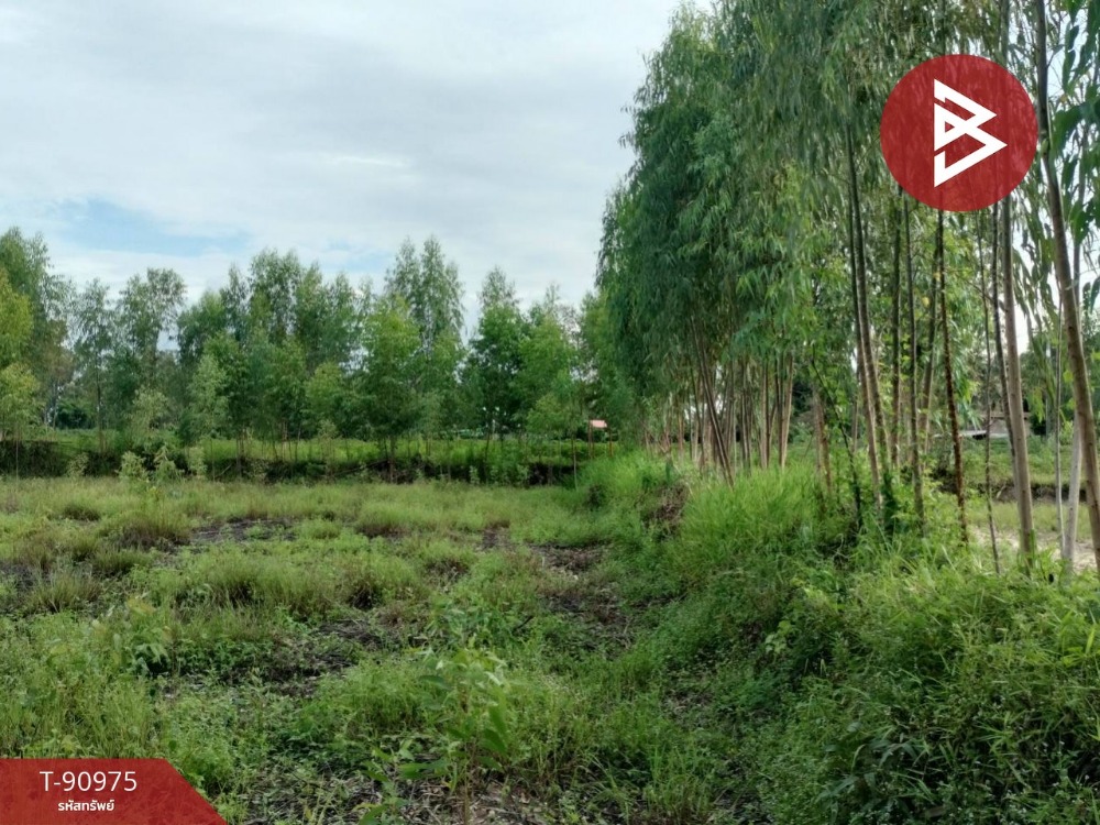 For SaleLandPhitsanulok : Land for sale, area 2 rai, Wat Bot, Phitsanulok
