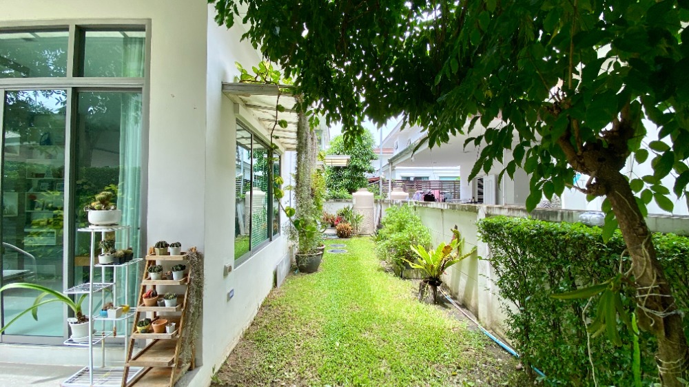 ขายบ้านพัฒนาการ ศรีนครินทร์ : ขายบ้านเดี่ยว Perfect Place พัฒนาการ ศรีนครินทร์ อ่อนนุช 80 แต่งสวย บ้านตัวอย่าง