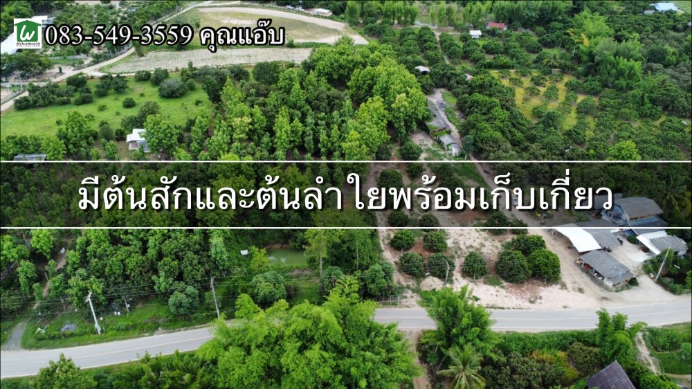 For SaleLandChiang Mai : Agricultural land for sale, area 4-0-24.3 rai, Don Pao Subdistrict, Mae Wang District, Chiang Mai Province