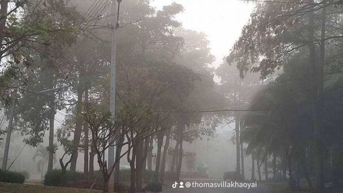 ขายบ้านโคราช นครราชสีมา : 📢👇ขายพร้อมผู้เช่า
บ้านในโครงการ โธมัส วิลลา เขาใหญ่ วิวเขาใหญ่ อากาศดีตลอดปี ขายในราคาถูกกว่าราคาประเมิน