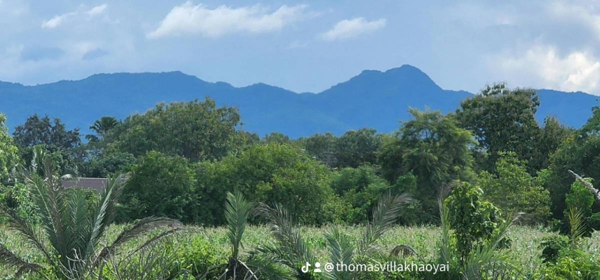 ขายบ้านโคราช นครราชสีมา : 📢👇ขายพร้อมผู้เช่า
บ้านในโครงการ โธมัส วิลลา เขาใหญ่ วิวเขาใหญ่ อากาศดีตลอดปี ขายในราคาถูกกว่าราคาประเมิน