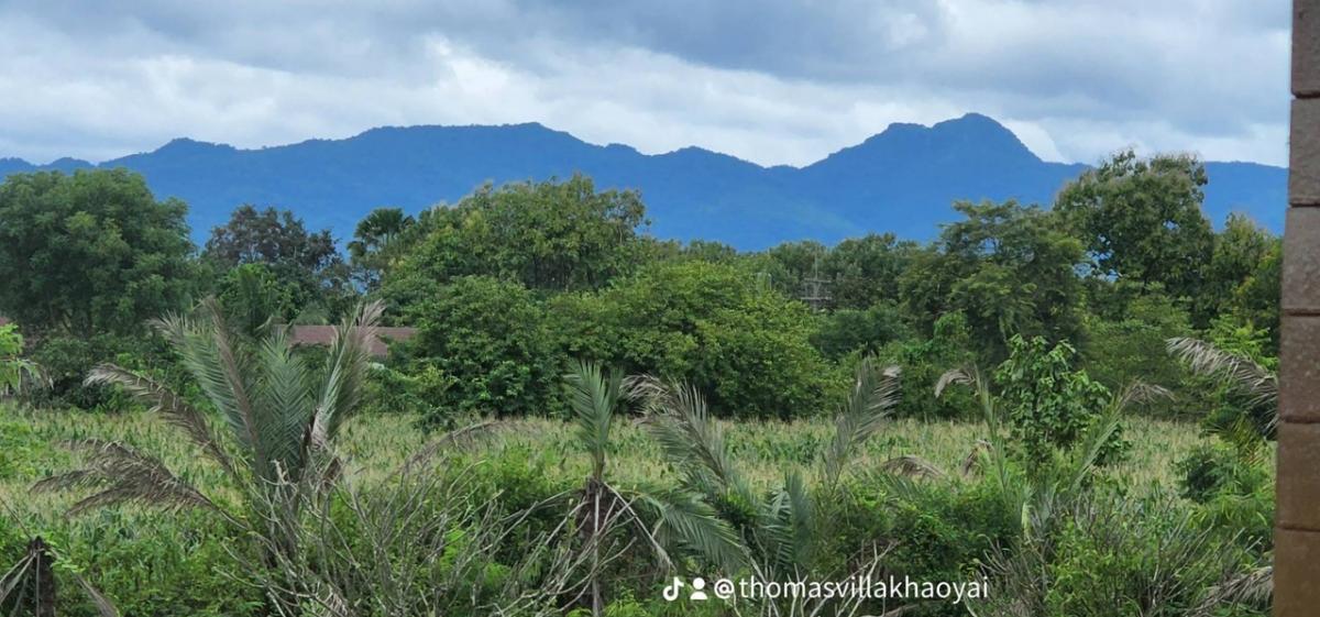 ขายบ้านโคราช นครราชสีมา : 📢👇ขายพร้อมผู้เช่า
บ้านในโครงการ โธมัส วิลลา เขาใหญ่ วิวเขาใหญ่ อากาศดีตลอดปี ขายในราคาถูกกว่าราคาประเมิน