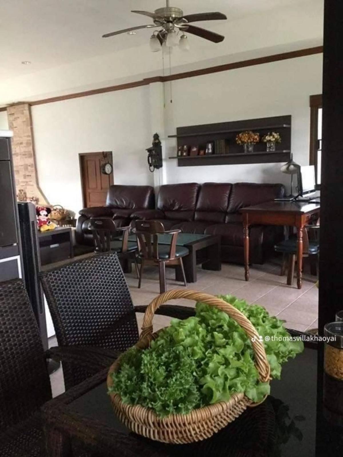 ขายบ้านโคราช นครราชสีมา : 📢👇ขายพร้อมผู้เช่า
บ้านในโครงการ โธมัส วิลลา เขาใหญ่ วิวเขาใหญ่ อากาศดีตลอดปี ขายในราคาถูกกว่าราคาประเมิน