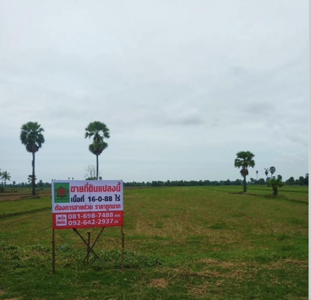 For SaleLandCha-am Phetchaburi : Vacant land is a rice field, Village No. 10, Chong Sakae Subdistrict, Mueang District, Phetchaburi, 16-0-88 rai, price 220,000 baht per rai.