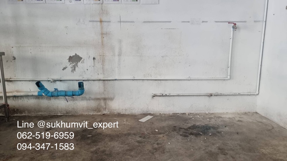 For RentRetail SpaceSukhumvit, Asoke, Thonglor : For rent commercial space in community mall, Asoke area. Near SWU