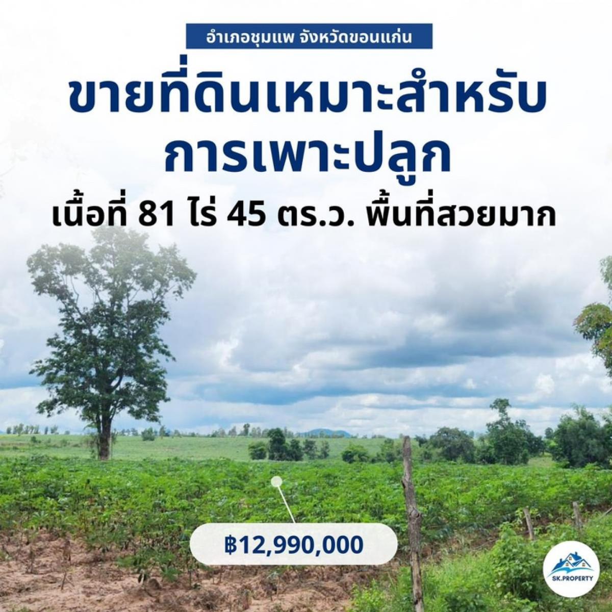 For SaleLandKhon Kaen : Land for sale, Chum Phae District, Khon Kaen Province