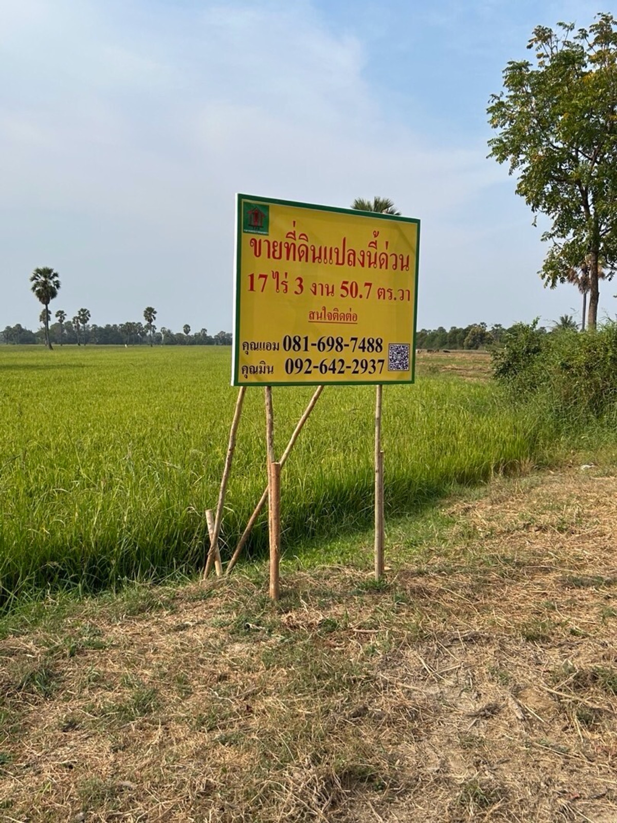 ขายที่ดินชะอำ เพชรบุรี : ที่ดินเปล่าเป็นทุ่งนา หมู่10 ต.ช่องสะแก .เมือง เพชรบรี 17-3-50.7ไร่ ราคาไร่ละ 263,000บาท