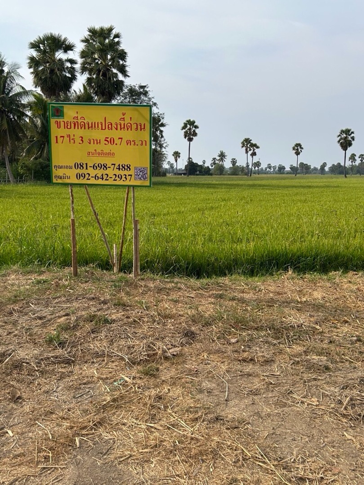 ขายที่ดินชะอำ เพชรบุรี : ที่ดินเปล่าเป็นทุ่งนา หมู่10 ต.ช่องสะแก .เมือง เพชรบรี 17-3-50.7ไร่ ราคาไร่ละ 263,000บาท