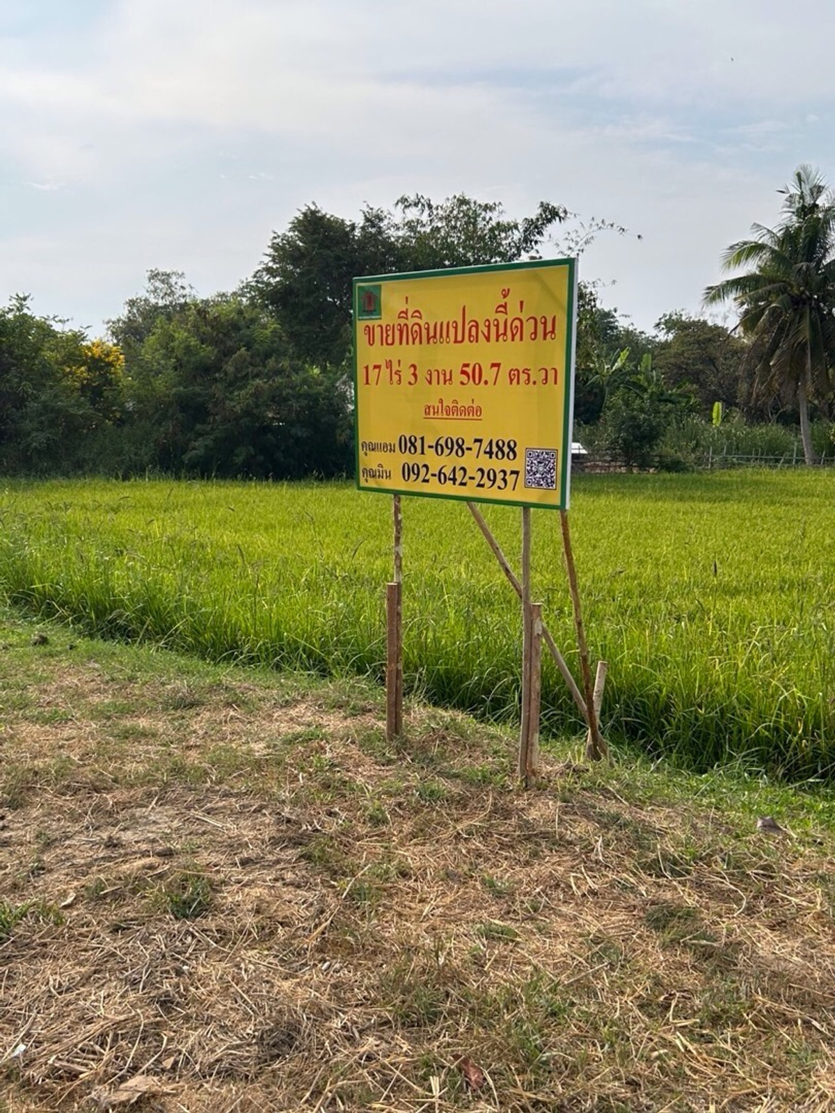 ขายที่ดินชะอำ เพชรบุรี : ที่ดินเปล่าเป็นทุ่งนา หมู่10 ต.ช่องสะแก .เมือง เพชรบรี 17-3-50.7ไร่ ราคาไร่ละ 263,000บาท