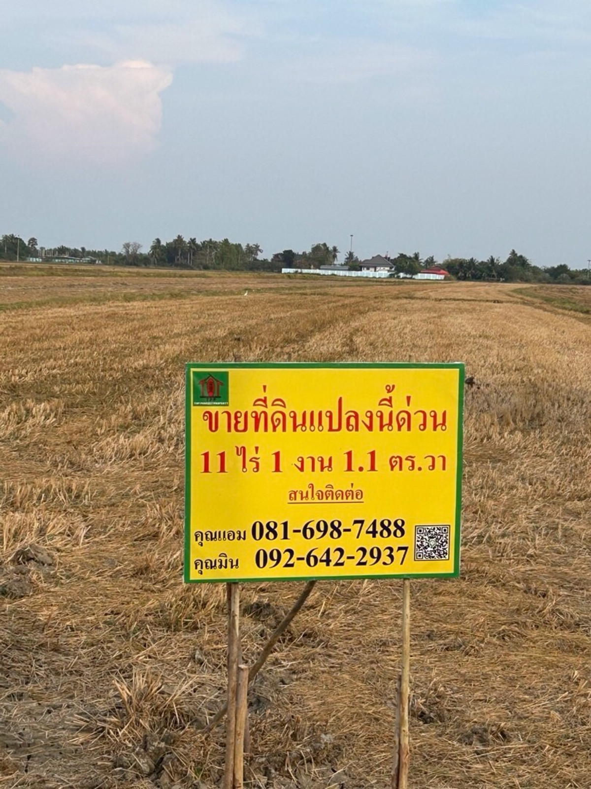 ขายที่ดินชะอำ เพชรบุรี : ขายที่ดินเป็นทุ่งนา นาพัน3   หมู่4 ต.หาดเจ้าอ.บ้านแหลม จเพชรบุรี 11-1-01.1ไร่