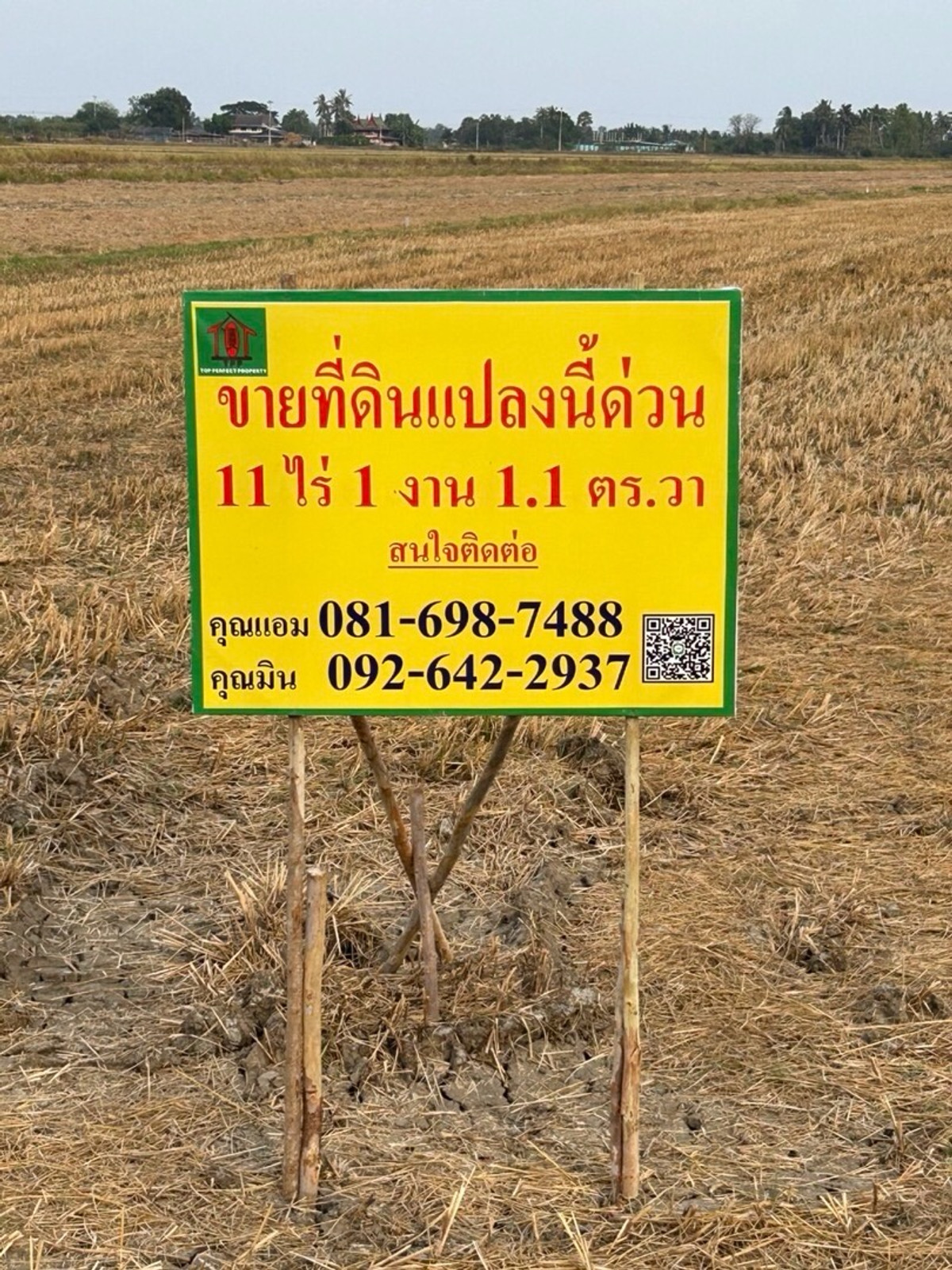 ขายที่ดินชะอำ เพชรบุรี : ขายที่ดินเป็นทุ่งนา นาพัน3   หมู่4 ต.หาดเจ้าอ.บ้านแหลม จเพชรบุรี 11-1-01.1ไร่