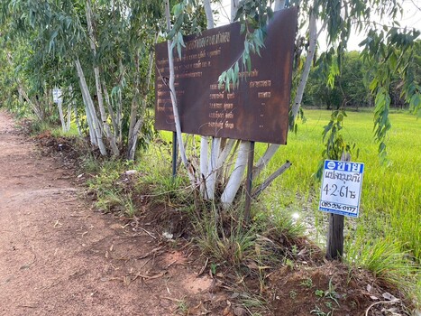 ขายที่ดินอุบลราชธานี : ขายที่ดิน 4 ไร่ 2 งาน 61 ตารางวา ติดถนนทางหลวงหมายเลข 23 (ถนนแจ้งสนิท) ตำบลหัวดอน อำเภอเขื่องใน จังหวัดอุบลราชธานี