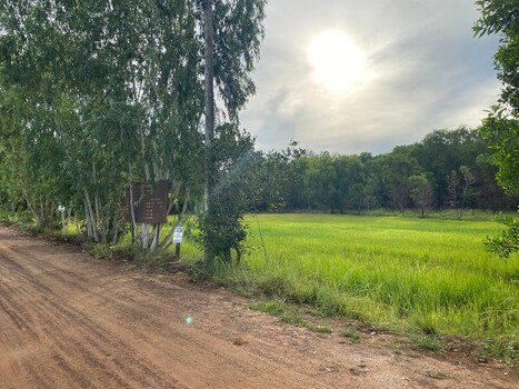 ขายที่ดินอุบลราชธานี : ขายที่ดิน 4 ไร่ 2 งาน 61 ตารางวา ติดถนนทางหลวงหมายเลข 23 (ถนนแจ้งสนิท) ตำบลหัวดอน อำเภอเขื่องใน จังหวัดอุบลราชธานี