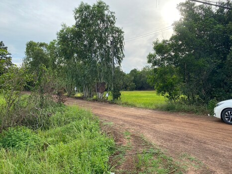 ขายที่ดินอุบลราชธานี : ขายที่ดิน 4 ไร่ 2 งาน 61 ตารางวา ติดถนนทางหลวงหมายเลข 23 (ถนนแจ้งสนิท) ตำบลหัวดอน อำเภอเขื่องใน จังหวัดอุบลราชธานี