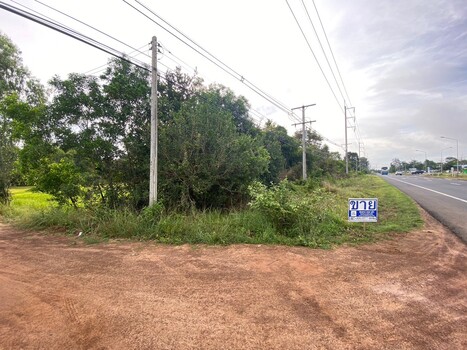 ขายที่ดินอุบลราชธานี : ขายที่ดิน 4 ไร่ 2 งาน 61 ตารางวา ติดถนนทางหลวงหมายเลข 23 (ถนนแจ้งสนิท) ตำบลหัวดอน อำเภอเขื่องใน จังหวัดอุบลราชธานี