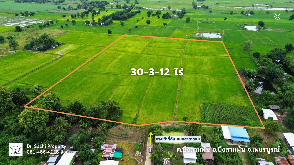 ขายที่ดินเพชรบูรณ์ : ขายที่ดิน 30-3-12 ไร่ อ.บึงสามพัน ใกล้แยกซับสมอทอด จ.เพชรบูรณ์ 