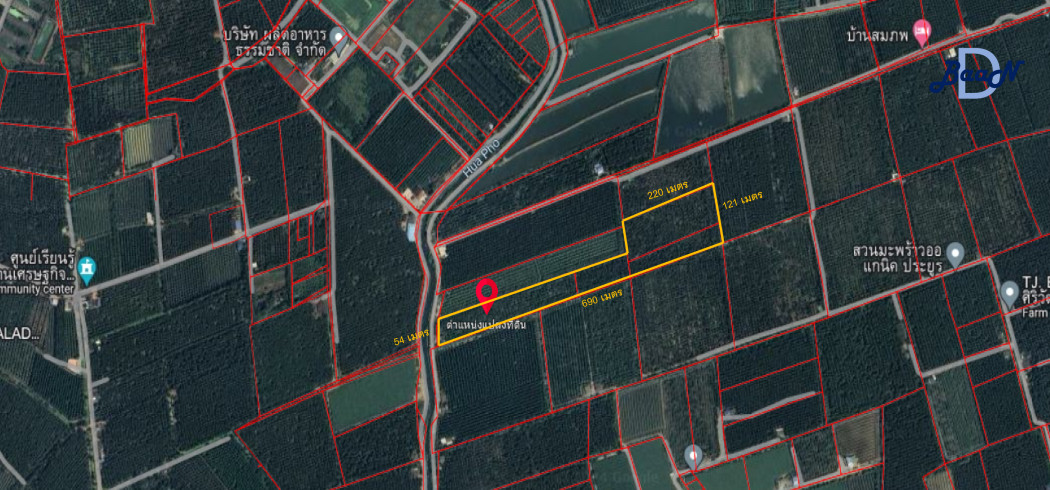 For SaleLandRatchaburi : Land for sale, Don Kruai Coconut Plantation, 31 rai 25 sq m, with abundant access to water.