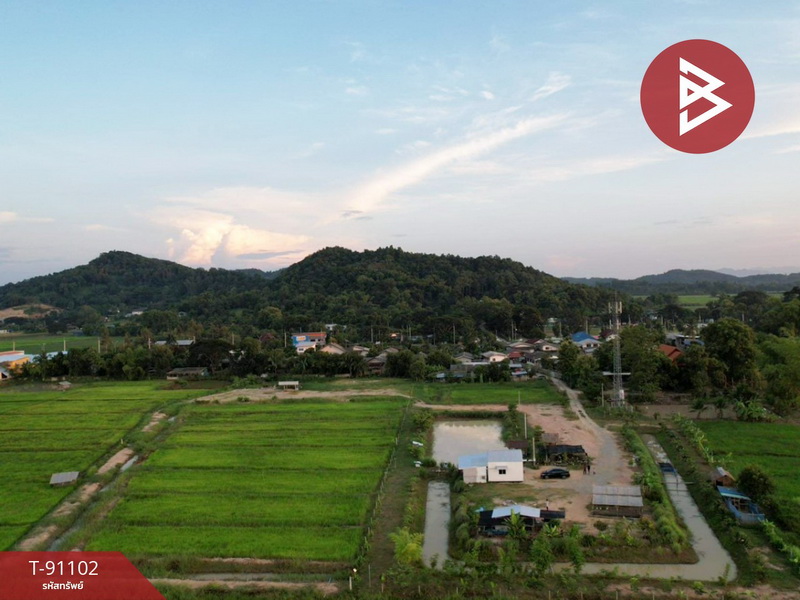 For SaleLandChiang Rai : Land for sale with buildings, 9 rai, 3 ngan, 62.3 square wa, Thoeng, Chiang Rai