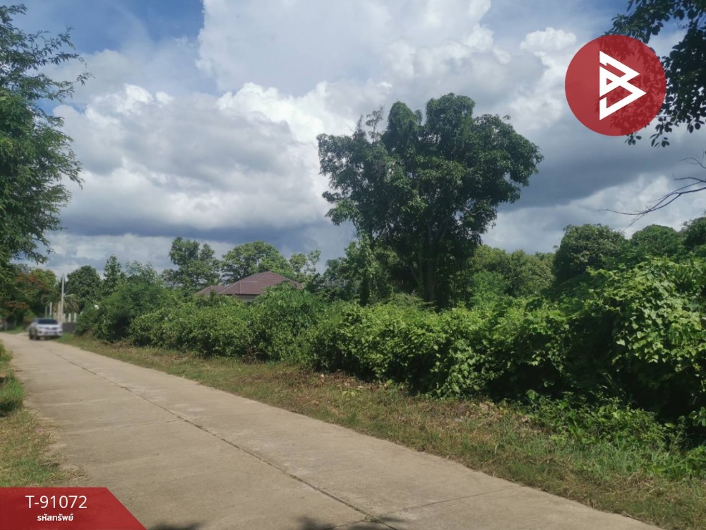 For SaleLandChiang Rai : Land for sale, area 3 rai 1 ngan 65.2 square wa, Thoeng, Chiang Rai