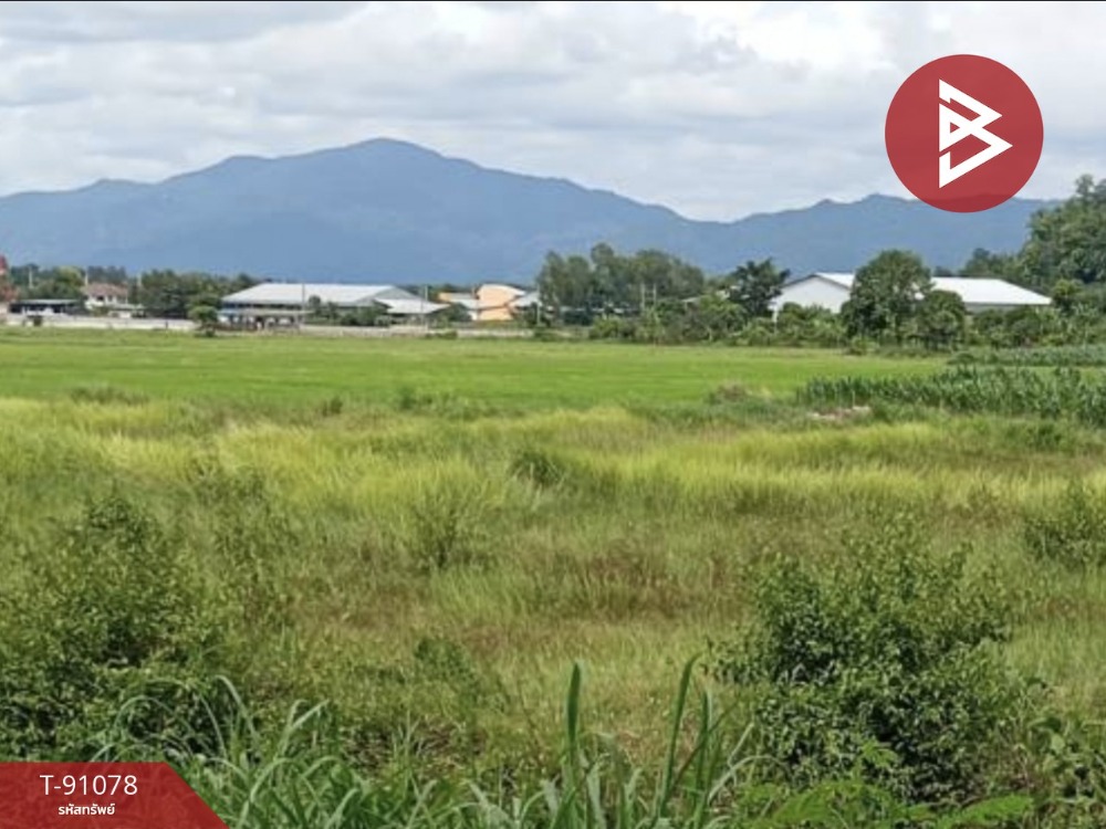 For SaleLandChiang Rai : Land for sale, area 9 rai 63 square wa, Thoeng, Chiang Rai