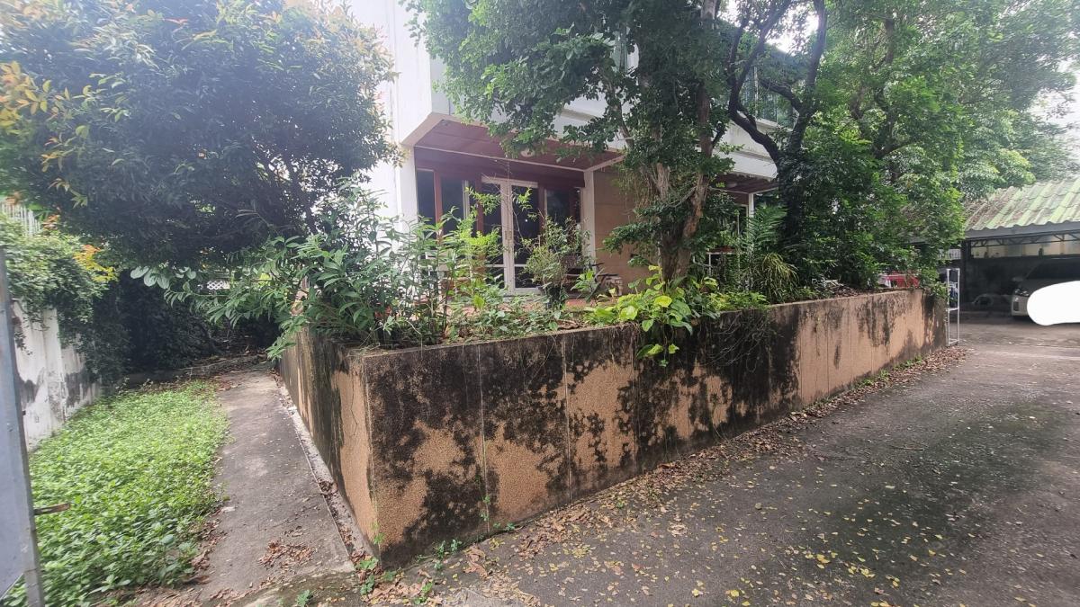 For SaleLandSukhumvit, Asoke, Thonglor : House for sale with land, Phrom Phong (reduced price), suitable for building a luxury home in the city center, quiet and private atmosphere