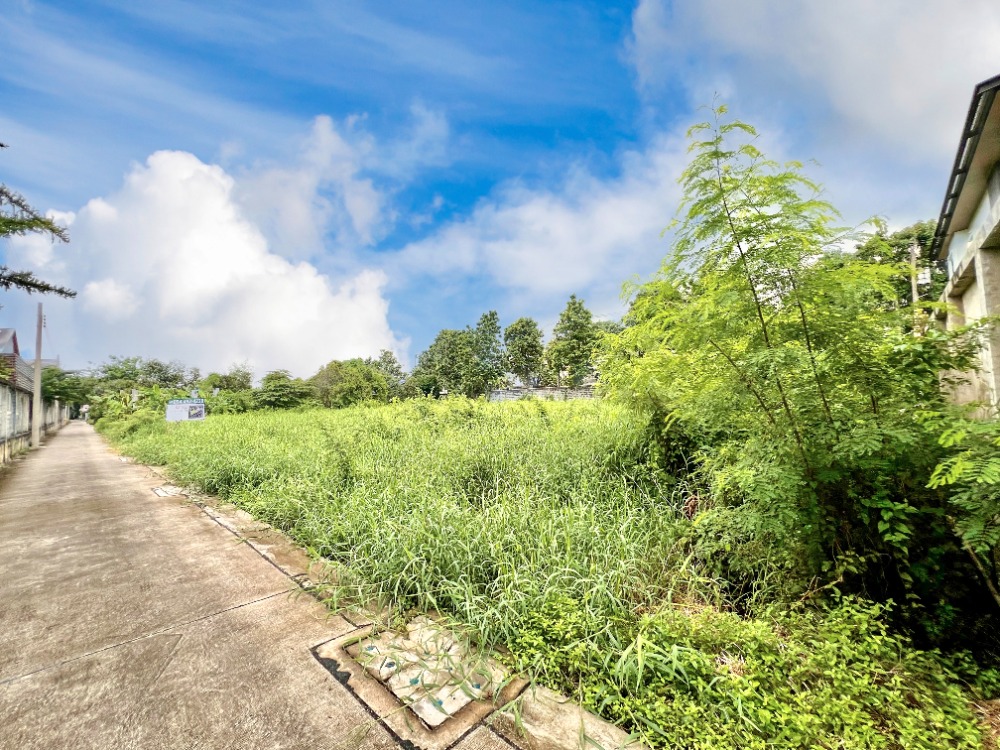 ขายที่ดินเลียบทางด่วนรามอินทรา : ขายที่ดิน ซอยโยธินพัฒนา7 แยก 2-2 ทำเลเลียบทางด่วน อาจณรงค์-รามอินทรา พื้นที่ 1-0-49 ไร่