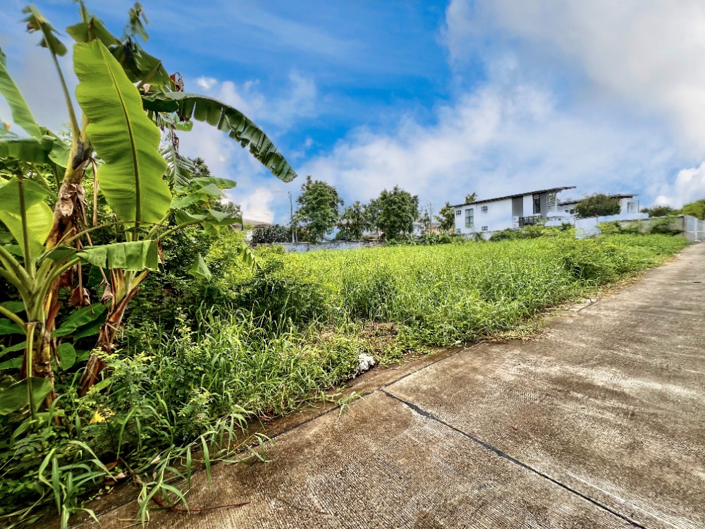 ขายที่ดินเลียบทางด่วนรามอินทรา : ขายที่ดิน ซอยโยธินพัฒนา7 แยก 2-2 ทำเลเลียบทางด่วน อาจณรงค์-รามอินทรา พื้นที่ 1-0-49 ไร่