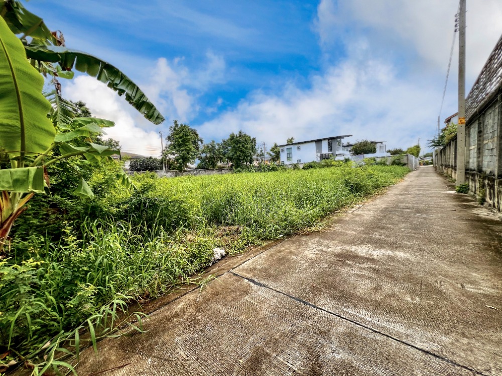 ขายที่ดินเลียบทางด่วนรามอินทรา : ขายที่ดิน ซอยโยธินพัฒนา7 แยก 2-2 ทำเลเลียบทางด่วน อาจณรงค์-รามอินทรา พื้นที่ 1-0-49 ไร่