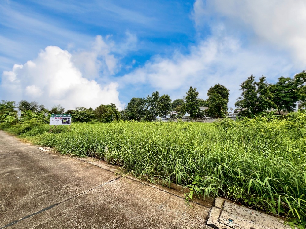 ขายที่ดินเลียบทางด่วนรามอินทรา : ขายที่ดิน ซอยโยธินพัฒนา7 แยก 2-2 ทำเลเลียบทางด่วน อาจณรงค์-รามอินทรา พื้นที่ 1-0-49 ไร่