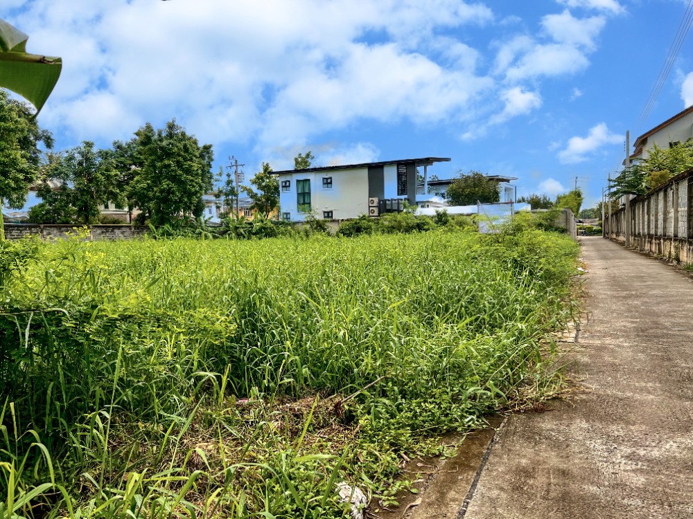 ขายที่ดินเลียบทางด่วนรามอินทรา : ขายที่ดิน ซอยโยธินพัฒนา7 แยก 2-2 ทำเลเลียบทางด่วน อาจณรงค์-รามอินทรา พื้นที่ 1-0-49 ไร่